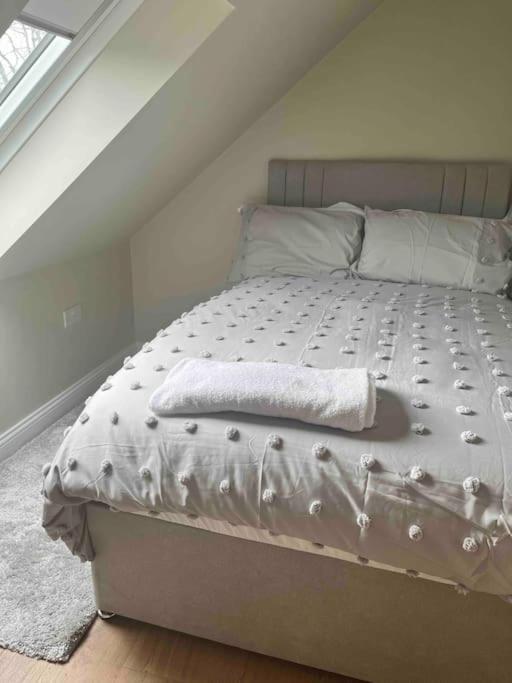 Mid Antrim Modern Apartment Newferry Εξωτερικό φωτογραφία